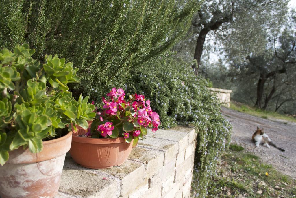 B&B Lavanda E Rosmarino อัสซิซี ภายนอก รูปภาพ