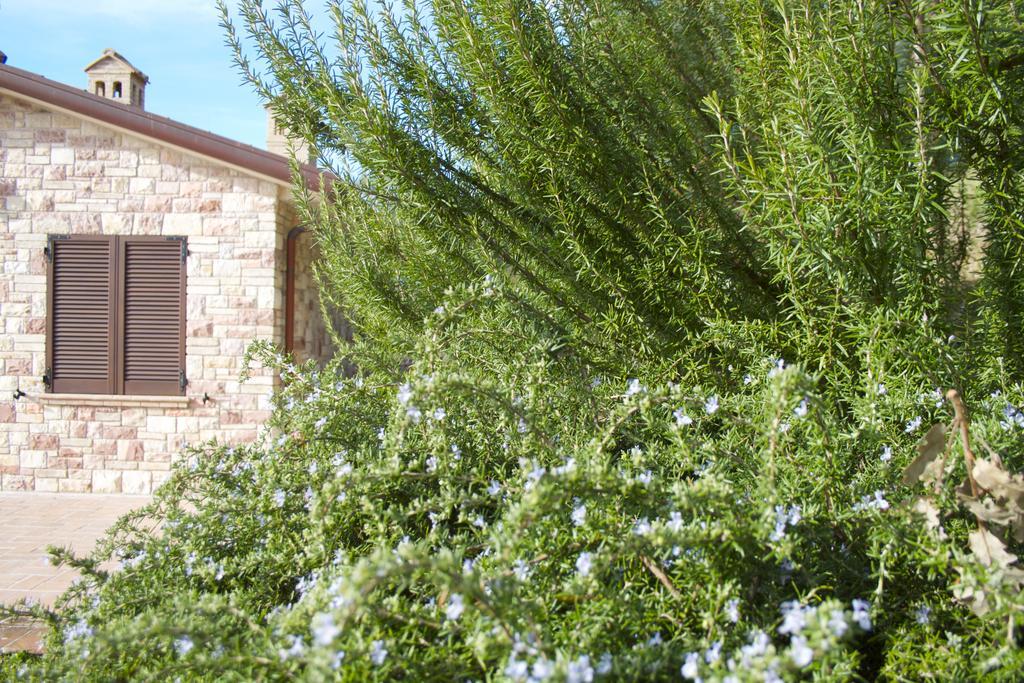 B&B Lavanda E Rosmarino อัสซิซี ภายนอก รูปภาพ