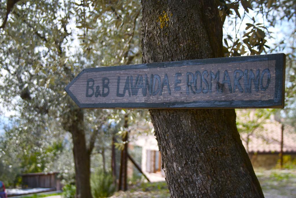 B&B Lavanda E Rosmarino อัสซิซี ภายนอก รูปภาพ