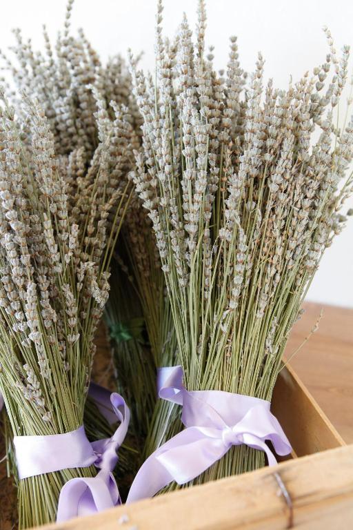 B&B Lavanda E Rosmarino อัสซิซี ภายนอก รูปภาพ