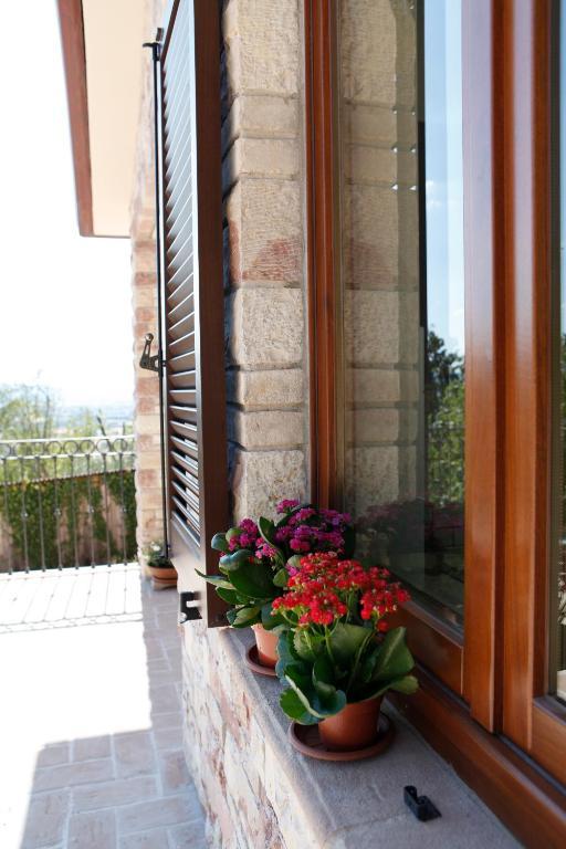 B&B Lavanda E Rosmarino อัสซิซี ภายนอก รูปภาพ
