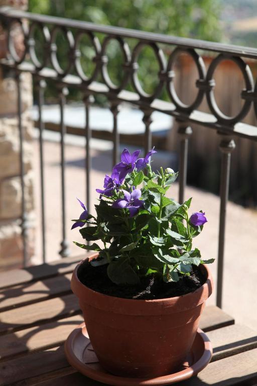 B&B Lavanda E Rosmarino อัสซิซี ภายนอก รูปภาพ