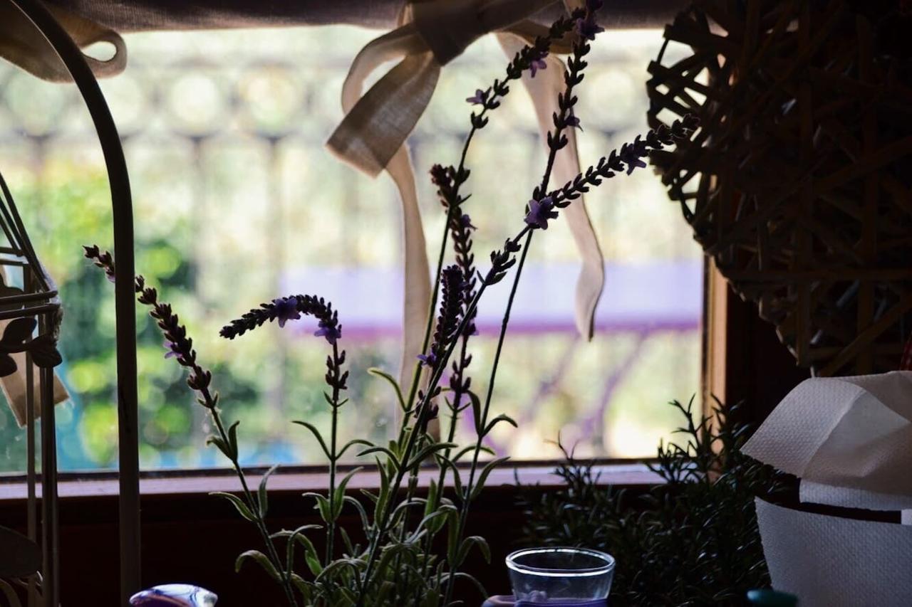 B&B Lavanda E Rosmarino อัสซิซี ภายนอก รูปภาพ